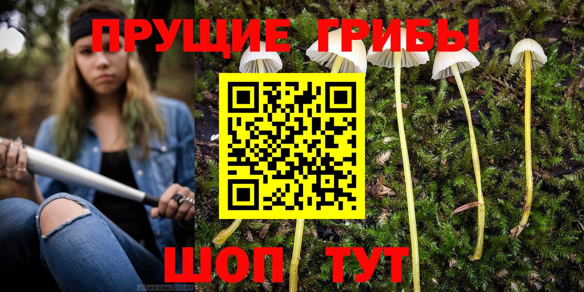 Псилоцибиновые грибы Magic Shrooms Владикавказ